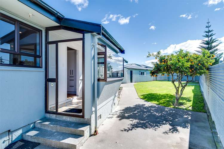 56 Alexander Avenue Onekawa_18