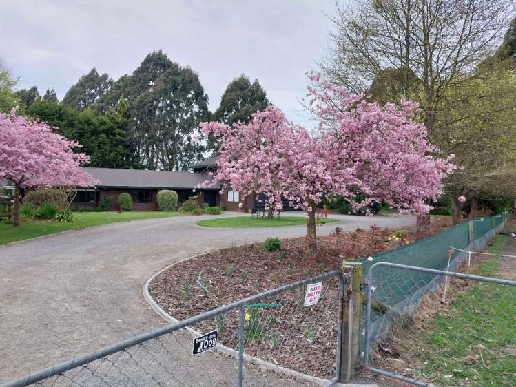 334 Tuahiwi Road Tuahiwi_34