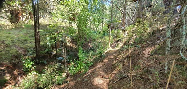 581 Valley Road Kaiwaka_10