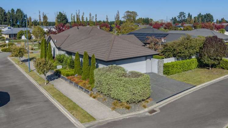 1 Tommy Street Pegasus_27