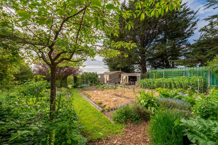 56 Burgess Road Oamaru_21