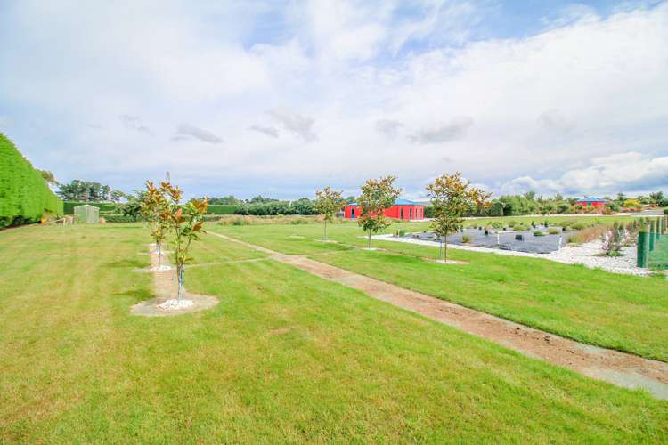 403 Mill Road North Myross Bush_40