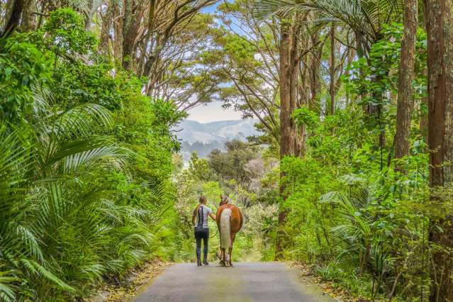 101 Taylor Road Waimauku_4