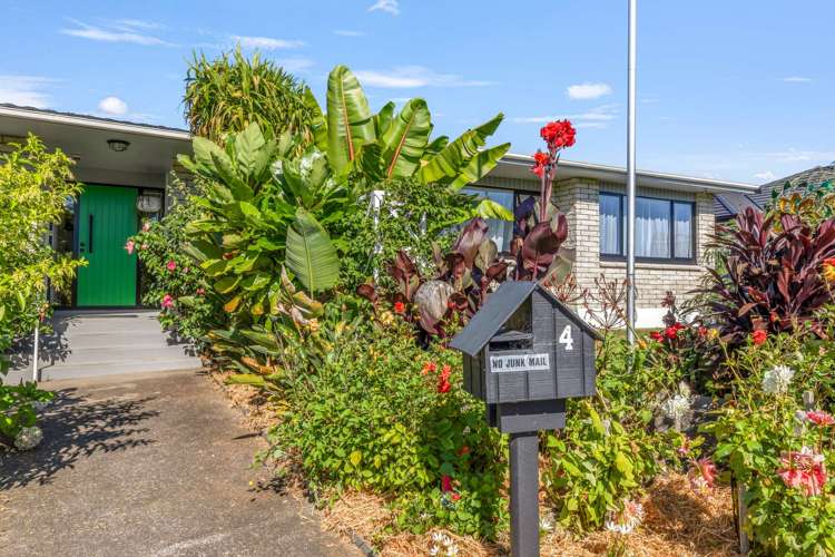 4 Cardiff Street Levin_34