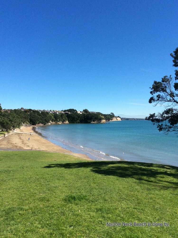 5 Niccol Avenue Narrow Neck_26