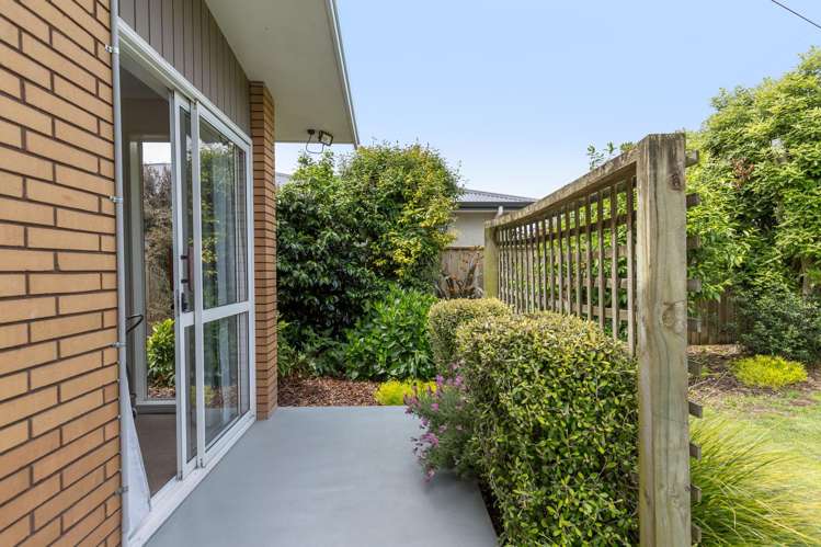 100 East Street Greytown_8