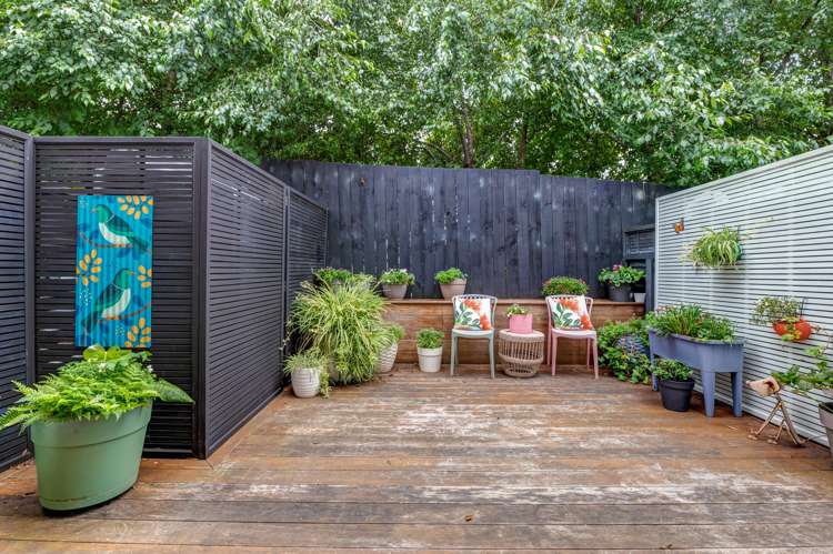 12 Mata Lane Stanmore Bay_16