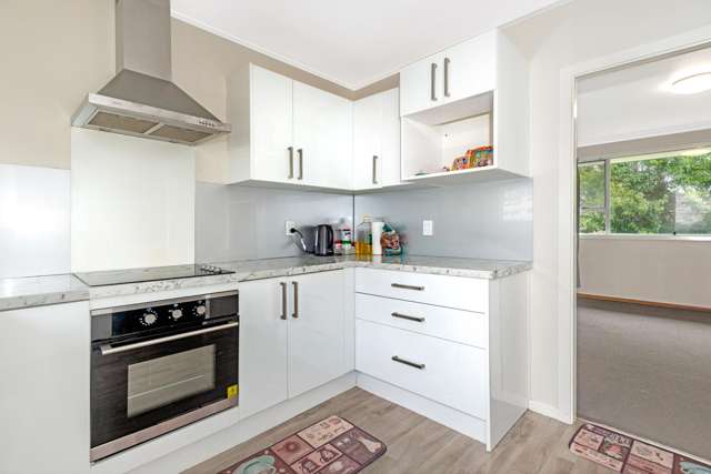 1,2 and 3/447 Palmerston Road Gisborne_2