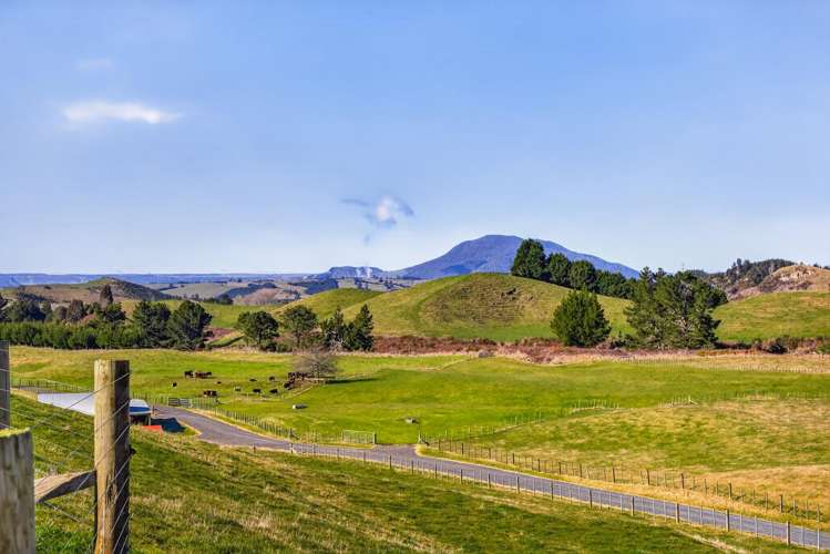 156/172 174 Link Road Wairakei_9