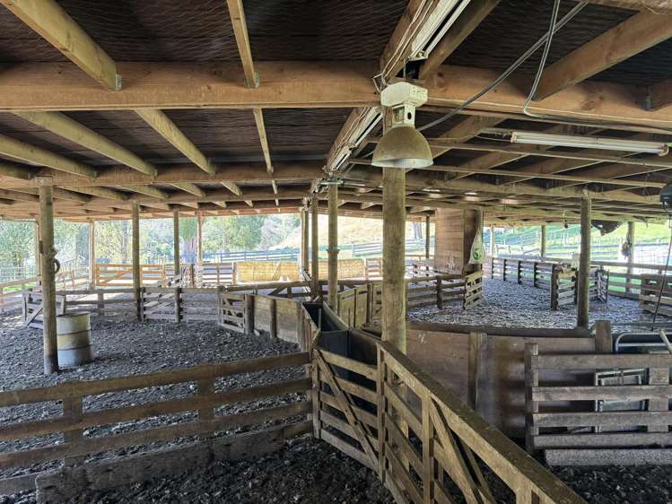 637 Makakahi Road Ruatiti_5