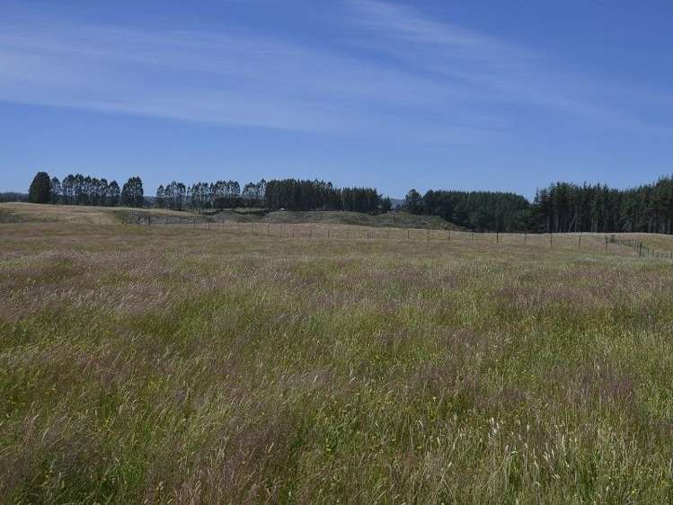 97 Brake Road Ngongotaha_6