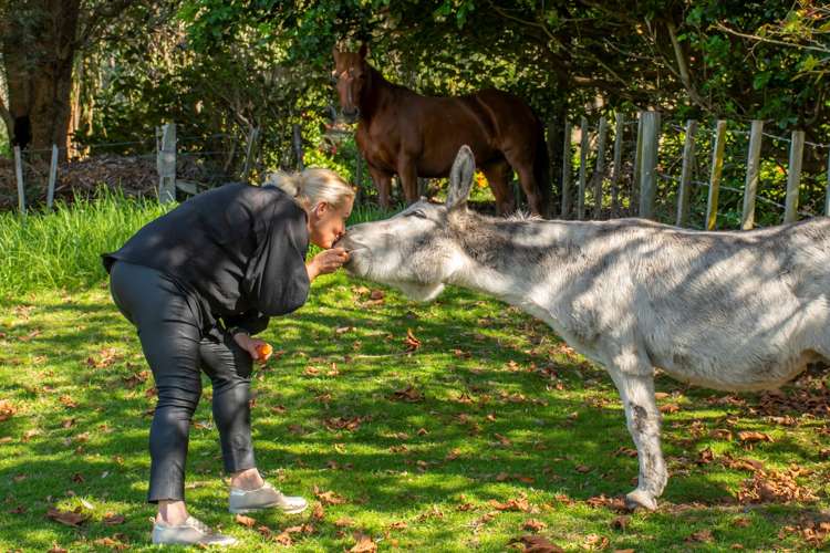 108 Te Puna Quarry Road Wairoa_22