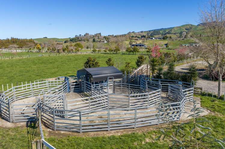 101 Ormsby Road Pirongia_10