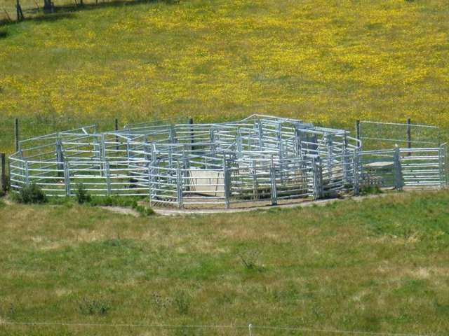 614 Levels Valley Road Levels Valley_2