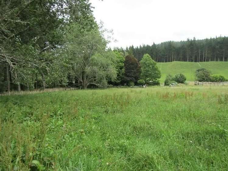 1391 Manawahe Road Manawahe_8