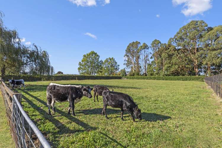 44 Peake Road Cambridge_21