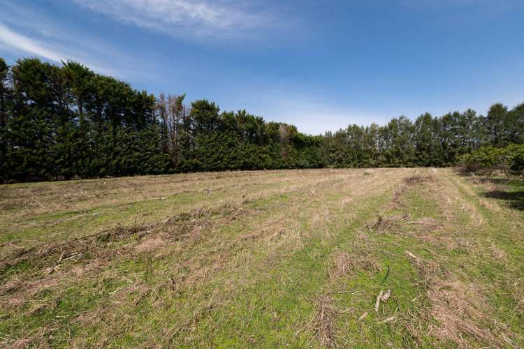 908A Te Ahu Ahu Road, Waimate North Kerikeri_11