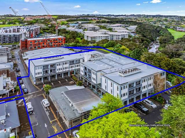 Consented Albany Apartment Conversion Opportunity