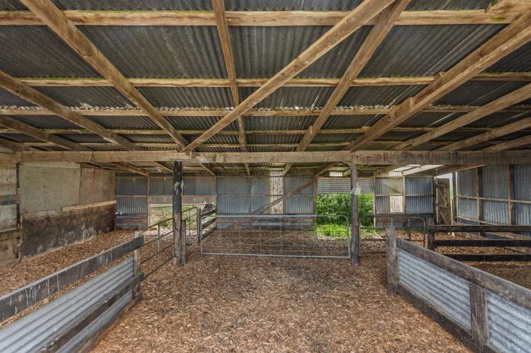 379B Powdrell Road Awakeri_22