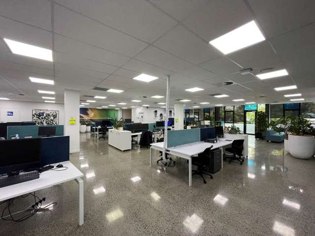 4 Murdoch Road Grey Lynn_1