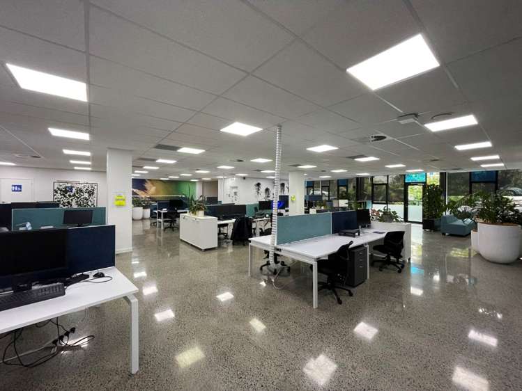 4 Murdoch Road Grey Lynn_1