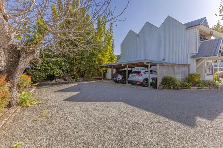 23 Clive Square Napier Cbd_5