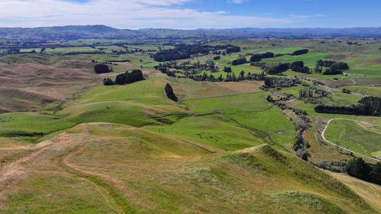 Mikimiki Road Masterton_5