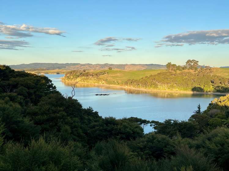 64 Greenslade Road Raglan_17