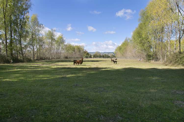 1729 River Road Broadlands_13