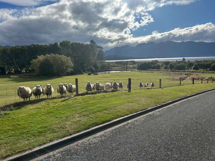 35 Patience Bay Drive Te Anau_6