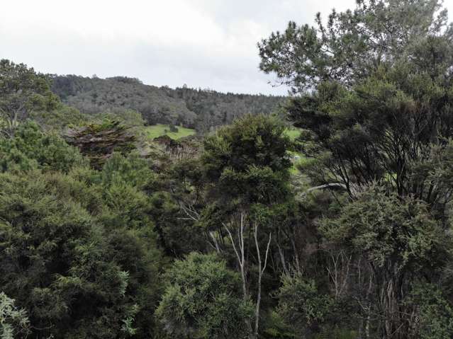 Sheffield Road Helensville_3