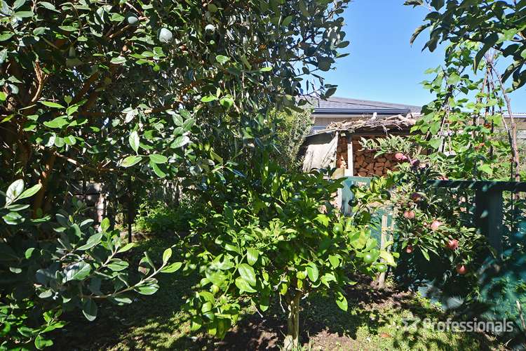 19 Rhodes Street Carterton_12