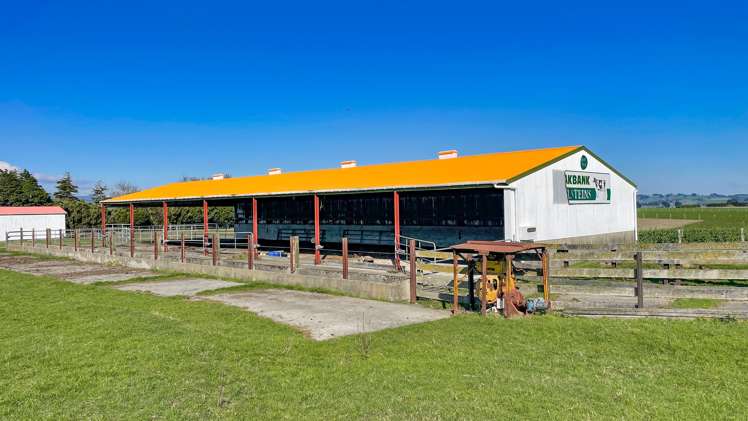 57 Island Edendale Road Edendale_11