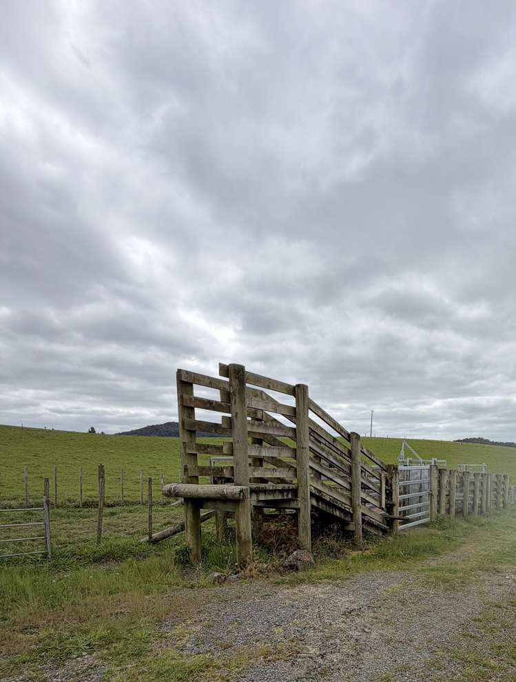 117 Pigs Head Road Whakapara_44