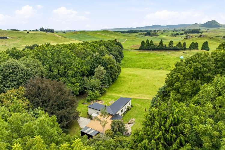 546 Henderson Road Whakamaru_22