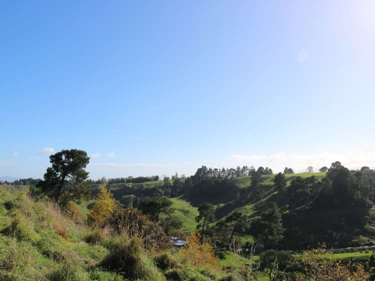 402 Leslie Road Ngatira_2