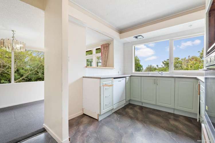 334 Point View Drive Shamrock Park_7