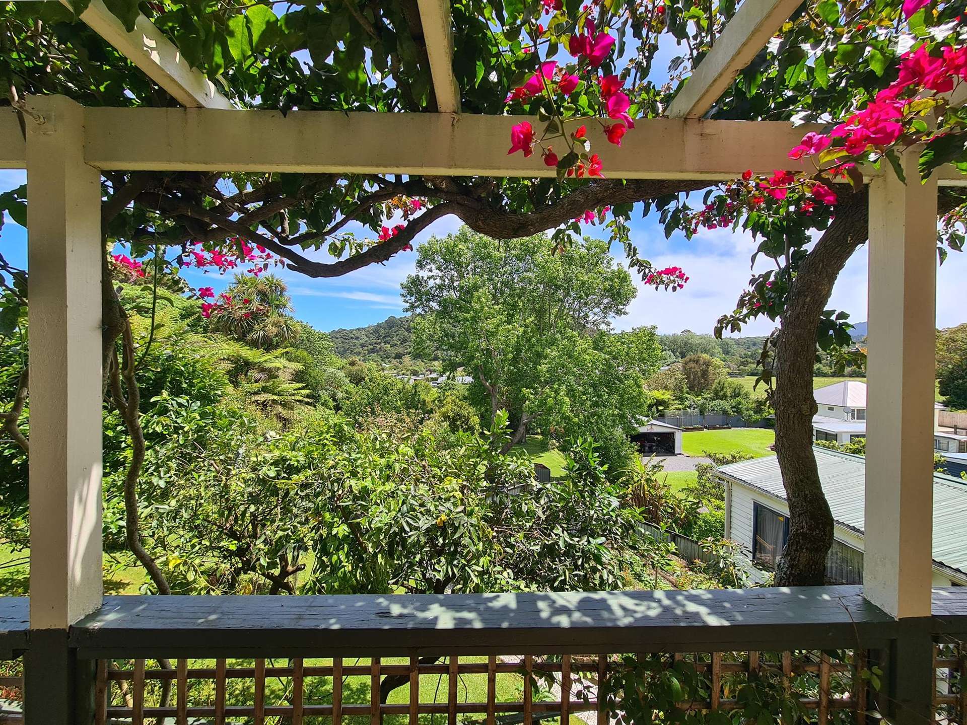 1225 Rings Road Coromandel_0