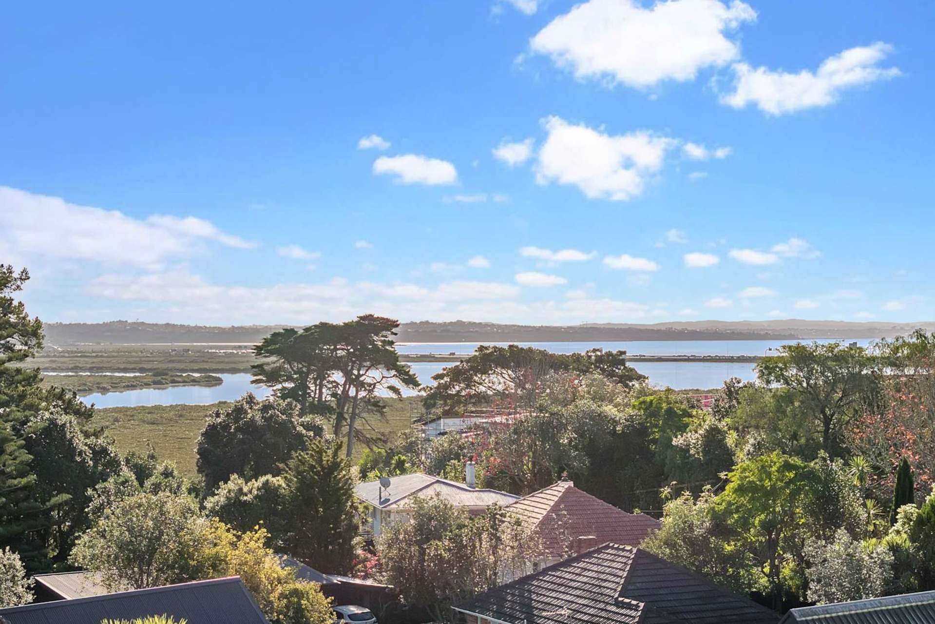 Lot 24, 38 Fairlands Avenue Waterview_0