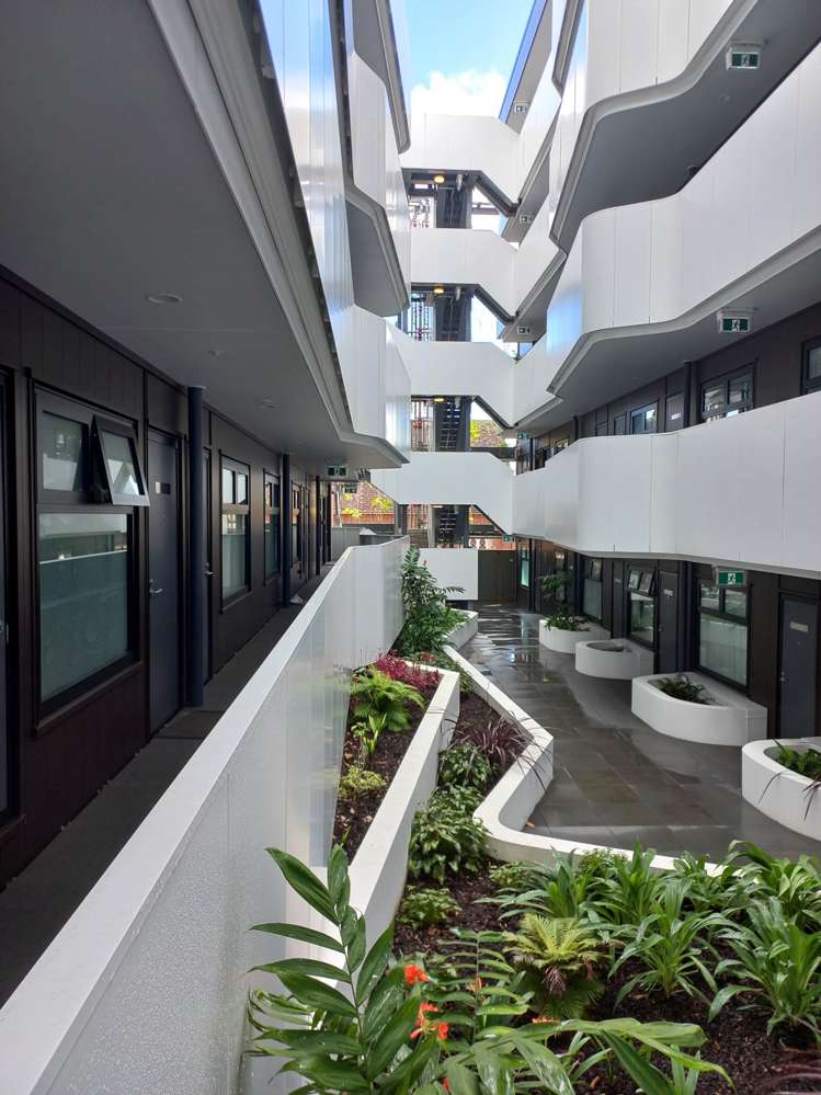 315/428 Dominion Road Mt Eden_9