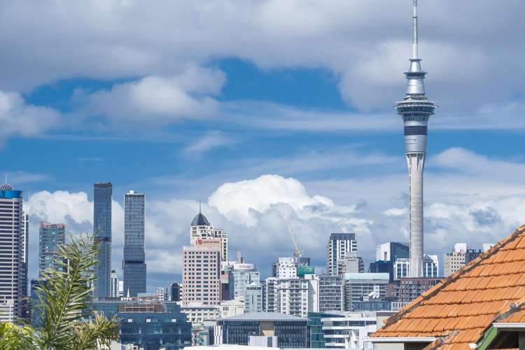 8 Amiria Street Saint Marys Bay_4