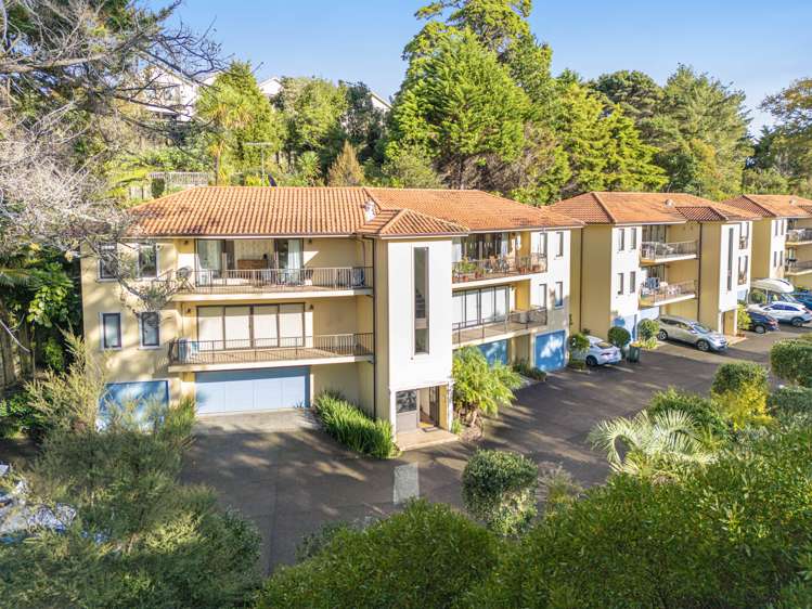 3/7 The Avenue Albany_8