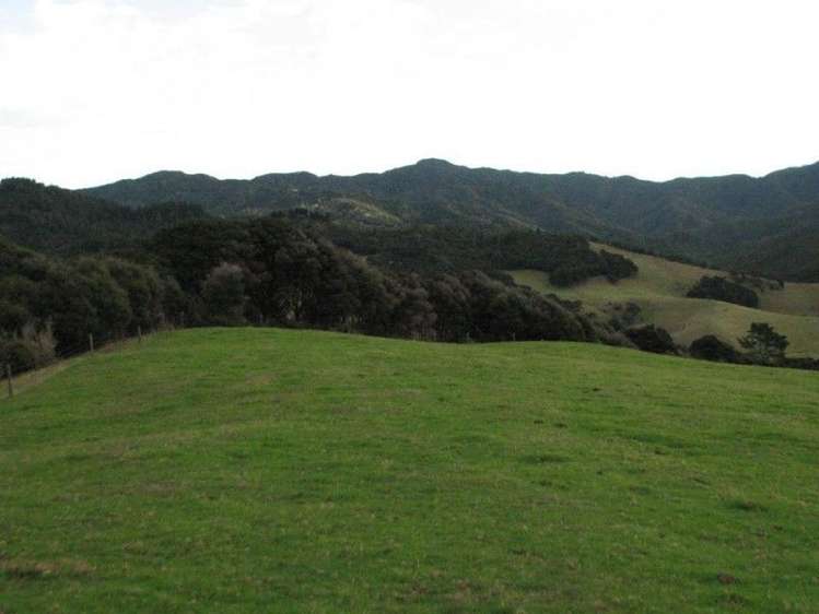 94b Carey Road Port Charles_18