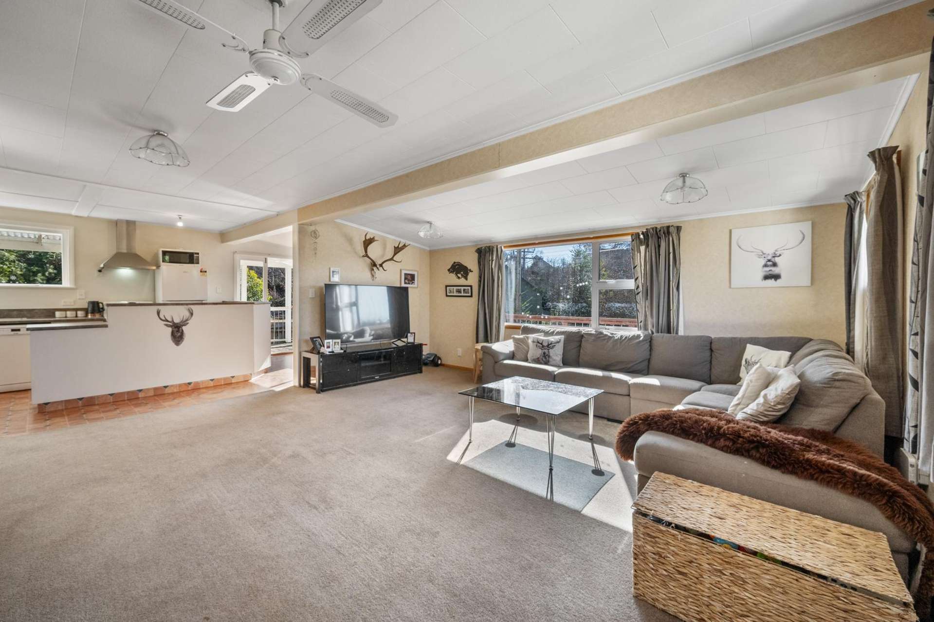 9 Strode Avenue Naseby_0