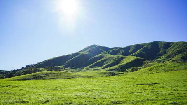 Lot 4, 151 Hill Road Te Aroha_4