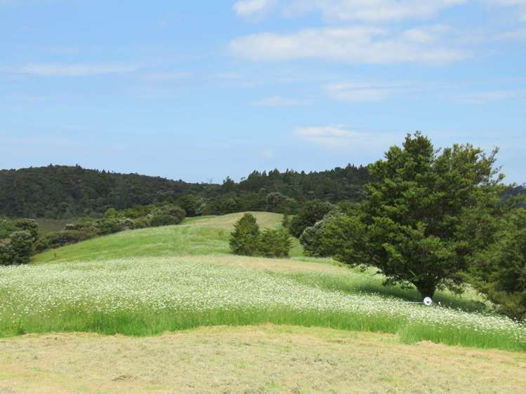 Pataua North Road Pataua_6