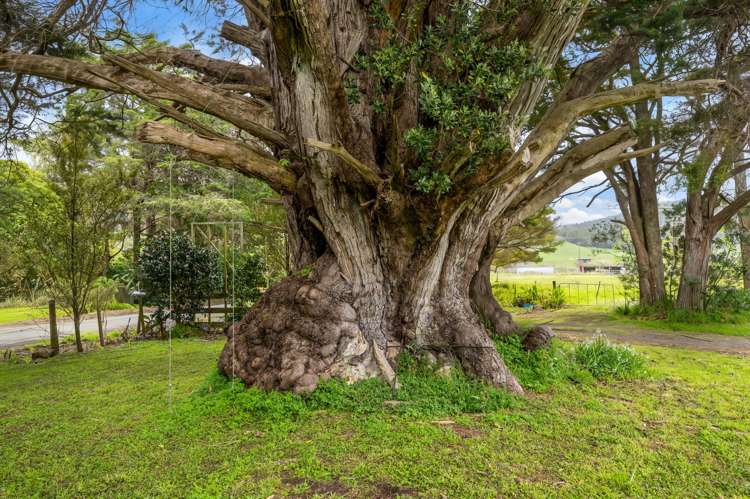 44 Matthew Road Kaipara Flats_19