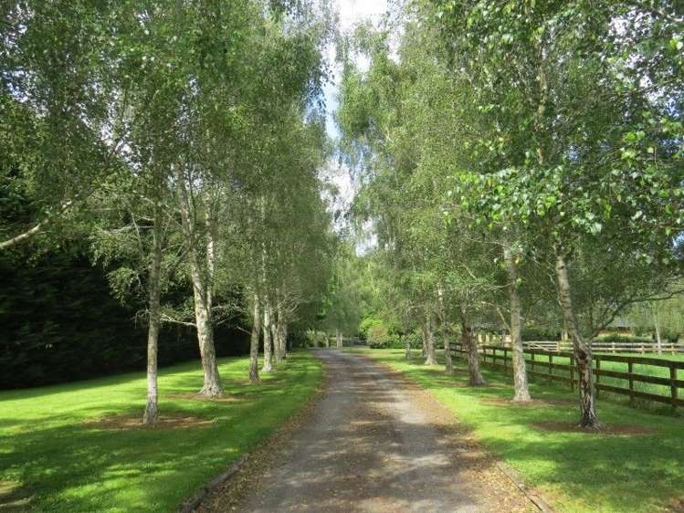 111 Tarr Road Ohaupo_29