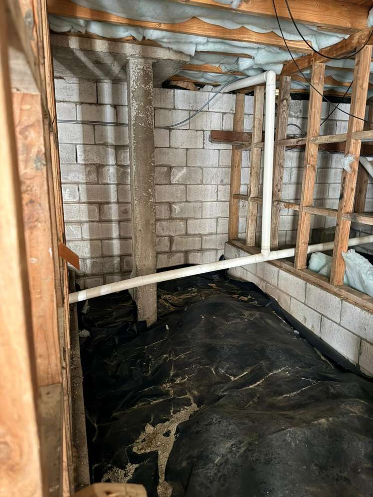 5/58 Allendale Road Mount Albert_16