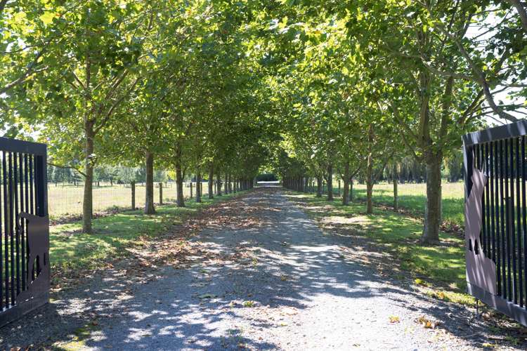 90 Mcgifferts Road Sefton_19